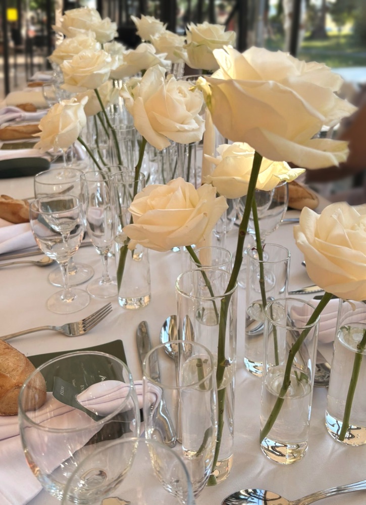 Roses blanches